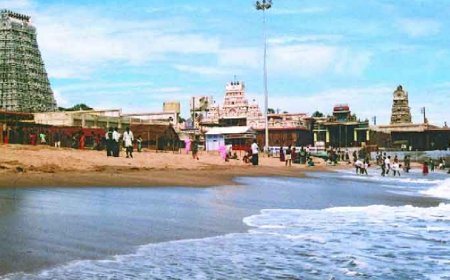 உள்வாங்கிய திருச்செந்தூர் கடல்: பாசி படிந்த பாறைகள் வெளிப்பாடு;