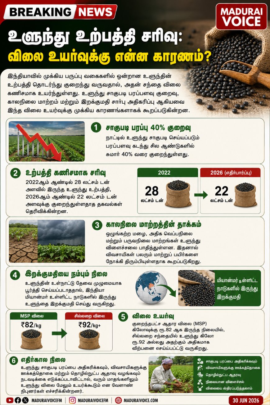 உளுந்து உற்பத்தி சரிவு: விலை உயர்வுக்கு என்ன காரணம்?